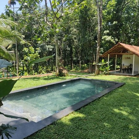Pool Villa - The Humming Trees, Pala Lalam Ngoại thất bức ảnh