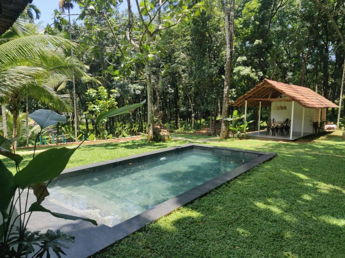 Pool Villa - The Humming Trees, Pala Lalam Ngoại thất bức ảnh
